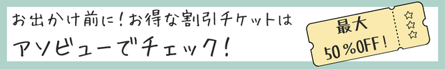 アソビュー割引チケット